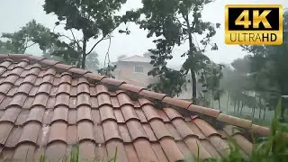 Heavy Rain at Dusk 🌧️🌅 | Nature Sleep Sounds with Fading Light for Deep Relaxation