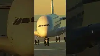 SkyView Aviation: Daily Aviation Shorts