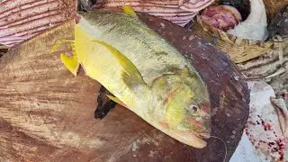 BIG SIZE MANJA PAARAI | AMAZING FISH CUTTING VIDEO | #cskfishcutting #manjapaarai #rayapuramselvam