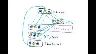 Basal ganglia and Action Selection