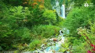 Magestic turquoise waterfall. Turquoise water stream in mountains. 10 hours nature sounds
