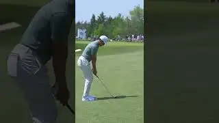 Cameron Champ Wedge Swing 2025 #golfswing #pgatour #cameronchamp