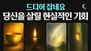 잠시, 달밤✨ 이제 도망치셔도 됩니다. 1월에 당신이 챙겨야 할 가장 현실적인 이득 (2026년 신년 타로 운세)