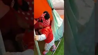 terrace fun