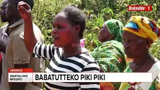 Agataliikonfuufu aba Boda bagudde mu batemu basse omu omulala aapooca