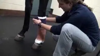 How to Apply a Distal Limb Bandage