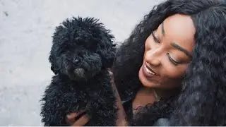 Meet My New Dog Zo&euml;! - SimiAllsmiles Vlog