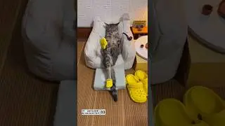 На работу пора
