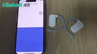 How to Use TWS Translator Earbuds BL02 Hishell
