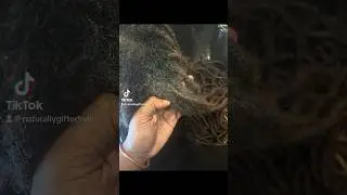 THE MOST SATISFYING DETOX ‼️#locs #loctician #atl #naturalhair #detox