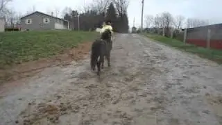M4V09332.MP4
