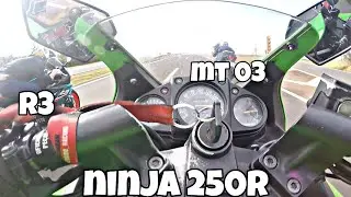 NINJA 250R VS MT 03 REMAP VS R3 2022 | INSANO!