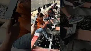 Sorting Raw Jade Ore on a Conveyor Belt