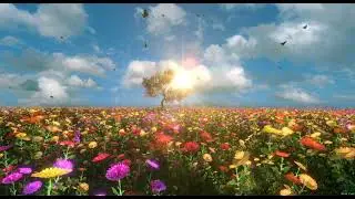 Nature Videos Download || Creative Commons videos || No Copyright Video Nature hd