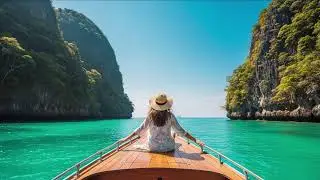 Night Music Live Stream
