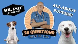 20 Questions With Dr. Pol - Dr. Pol Answers the Top 20 Puppy Questions On Google.  #drpol #puppies