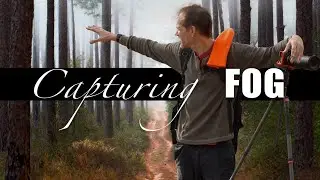 The Art of Telephoto Fog Photography - Misty Woodland Florida Landscapes