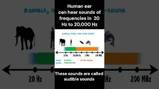 Audible, infra- and ultra-sound