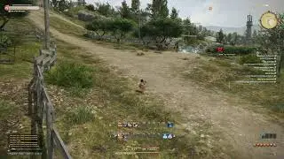 [FIRST TIME] MSQ No Spoilers - Piyo Piyo