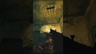 Best Thing About Verruckt by far... on Black Ops 1
