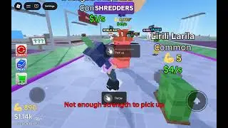 Trying shred a brain  for the first time