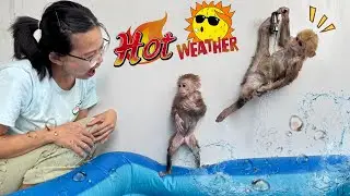 It&rsquo;s too hot! Lucky and Sunny sneak off for a bath while Mom is sleeping!