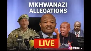 MKHWANAZI ALLEGATIONS | AD HOC COMMITTEE HEARINGS LIVE | PARLIAMENT | 28 JANUARY 2026