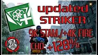**STRIKER CLASSIFIED BUILD / UPDATED** THE DIVISION / 1.8 / 1.18 / GE