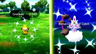 NEW SHINY GROOKEY COMMUNITY DAY IS NOW LIVE IN POKEMON GO! Shiny Thundurus Raids! #pokemongo