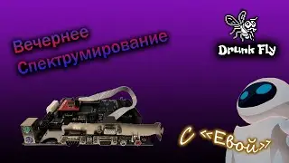 Вечернее Спектрумирование / ZX Spectrum / ZX Evolution