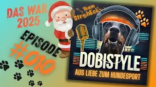 #010 - Vom Bordstein zur Skyline&hellip;. und wieder zur&uuml;ck 😂 die Weihnachts Edition 🎅