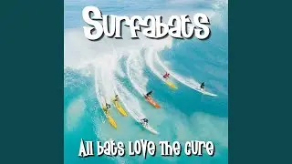 Caterpillar Surf