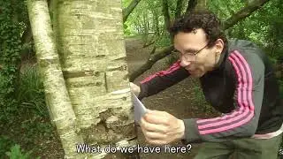 The Flower Whisperer 2