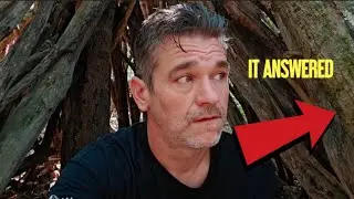 (МЕСТО ДЛЯ СНЕГОГОЛЯ) ВЫ НЕ ПОВЕРИТЕ, ЧТО ПРОИЗОШЛО