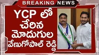 TDP MLA Modugula Venugopala Reddy Joined In YSRCP | YS Jagan Mohan Reddy | Chandrababu Naidu