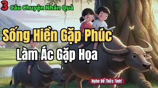 Tổng Hợp 3 Câu Chuyện Nhân Quả Đời Thường - Sống Hiền Gặp Phúc, Làm Ác Gặp Họa