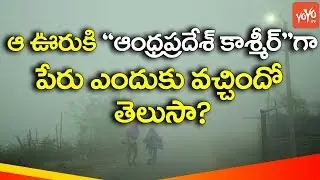 Lambasingi Village Temperature is Very Low  | Vizag | AP | Tourists Place | YOYO TV Channel