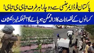 Food Crisis in Pakistan: The Survival Battle of Our Farmers | Neo Plus