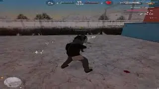 L+C