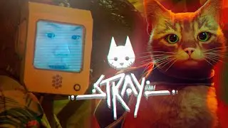 Stray... Literalmente el Gato Parkour