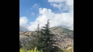 Barla