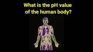 What is the pH value of the Human Body ?