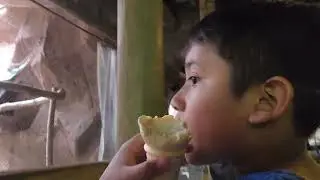 Yo en el Zoo 🤪
