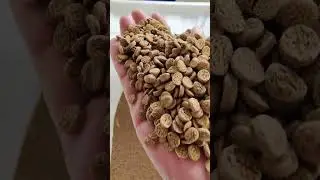 YongTe Wood Plastic WPC granulation machine making WPC granules high output