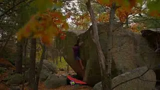 Deans problem, Lynn Woods