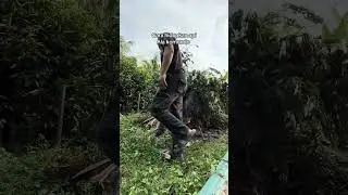kampung terentang jasin