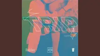 Trip