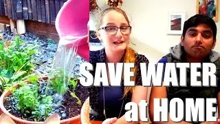 5 Small Ways We Save Water at Home