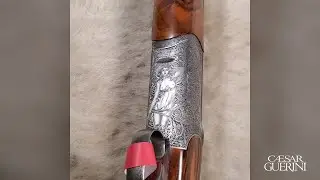Ellipse Curve 20g | Gun of the Week #11