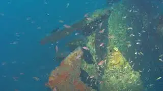 Immersione tecnica su relitto  a Noli, Bergeggi, Spotorno 